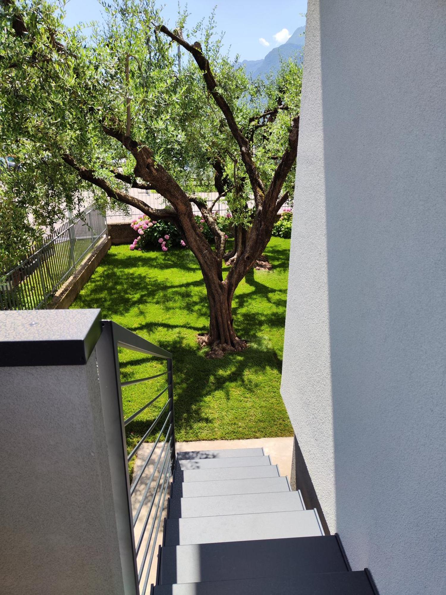 Apartamento Oasi Degli Ulivi Riva del Garda Exterior foto